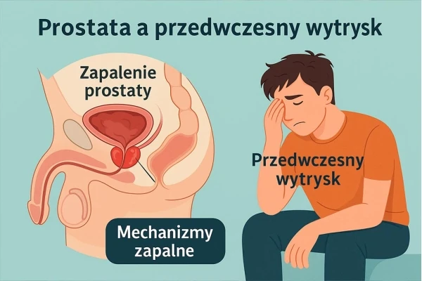 Od prostaty do łóżka – przewlekłe zapalenie gruczołu krokowego a przedwczesny wytrysk