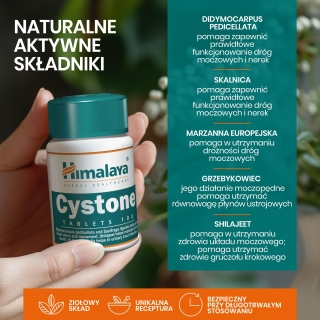 Cystone Himalaya 100 tabletek - zdjęcie poglądowe #7